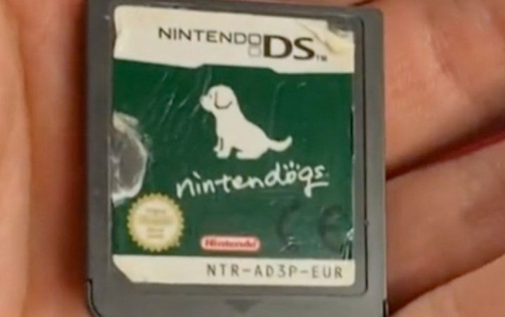 Foto de Nintendogs: Cachorros reubicados, tras no encontrar a su dueño