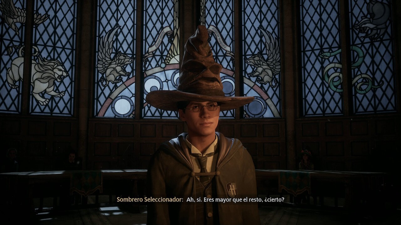 Hogwarts Legacy Sorting Hat